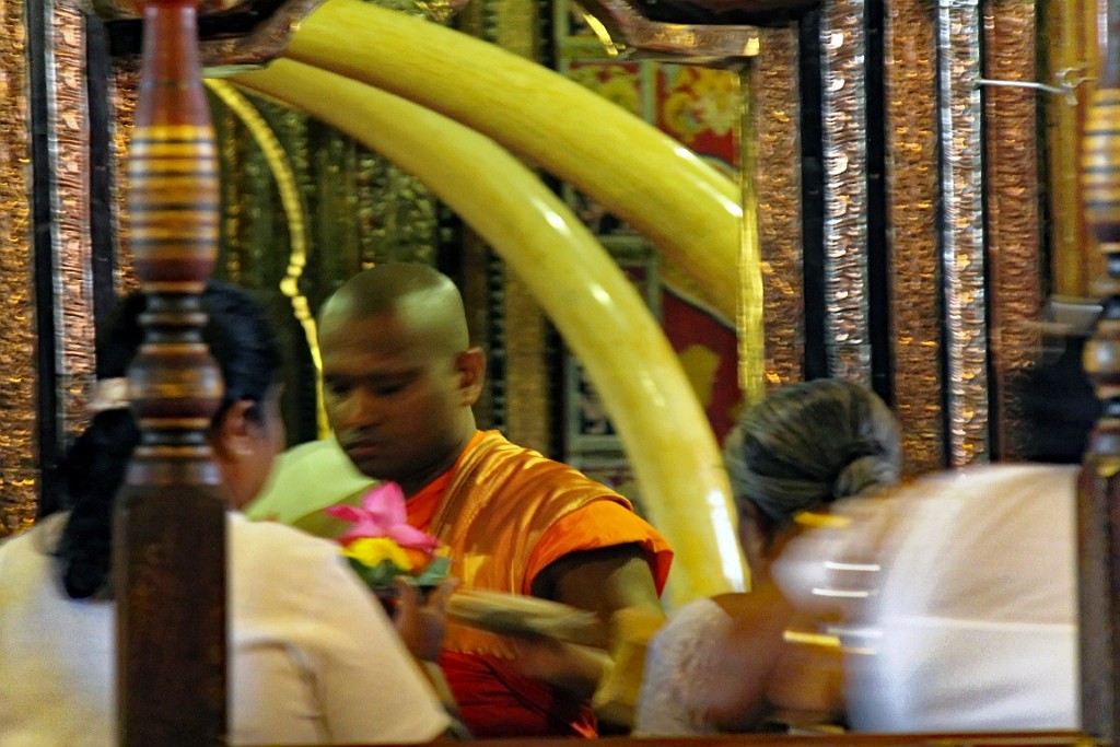SriLan (724).jpg